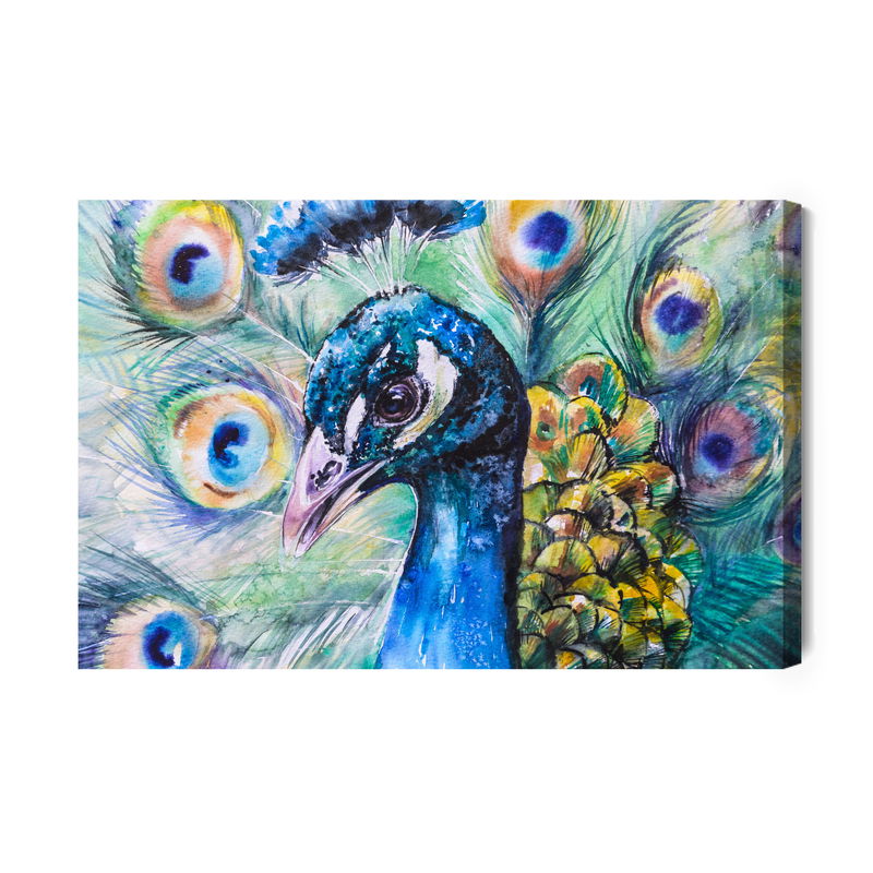 Ljuddämpande tavla - Peacock with colourful