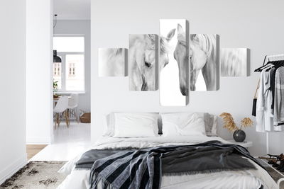 Ljuddämpande tavla - Two horses on a white