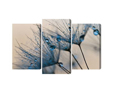 Ljuddämpande tavla - Dandelions with water