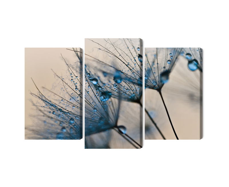 Ljuddämpande tavla - Dandelions with water