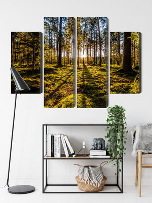 Ljuddämpande tavla - Morning sun rays