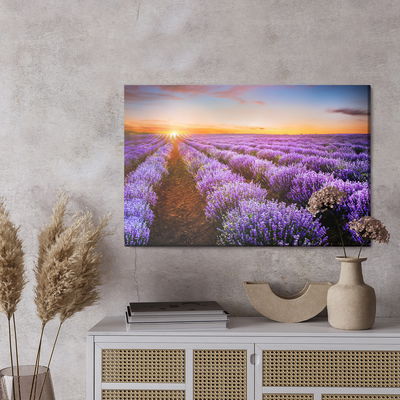 Ljuddämpande tavla - Lavender at sunset