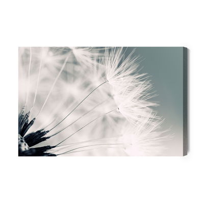 Ljuddämpande tavla - Dandelion seeds