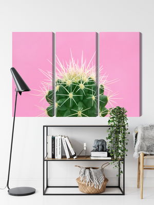 Ljuddämpande tavla - Cactus on a pink background