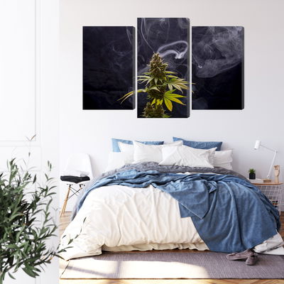 Ljuddämpande tavla - Cannabis plant on a smoky