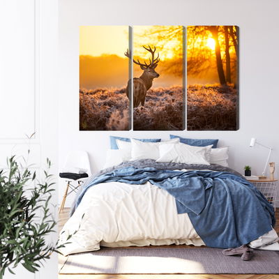 Ljuddämpande tavla - Deer in the forest at sunset