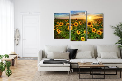 Ljuddämpande tavla - Sunflower field at sunset 3d