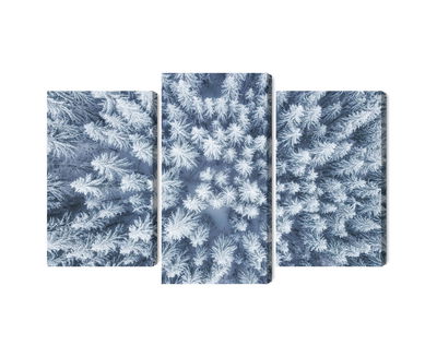 Ljuddämpande tavla - Aerial view of the winter