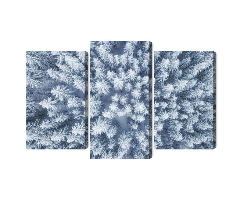 Ljuddämpande tavla - Aerial view of the winter