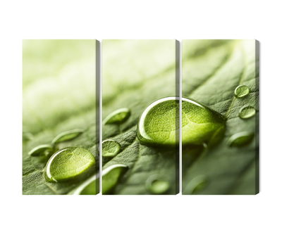 Ljuddämpande tavla - Water drops on a leaf