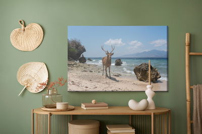Ljuddämpande tavla - Deer on the beach