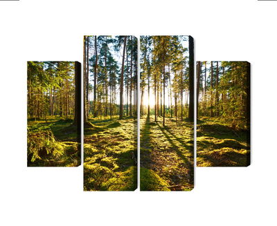 Ljuddämpande tavla - Forest landscape with sunset