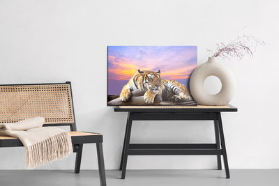 Ljuddämpande tavla - Tiger resting