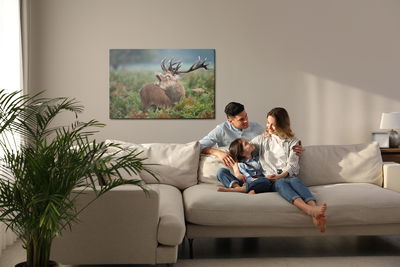 Ljuddämpande tavla - Adult deer in the rut