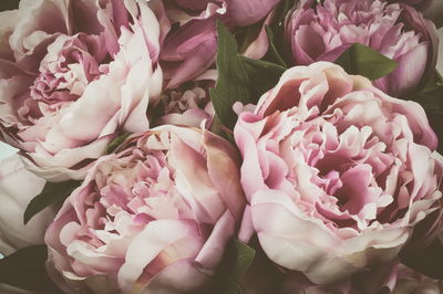 Ljuddämpande tavla - Delicate vintage peony