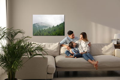 Ljuddämpande tavla - Fog over the coniferous