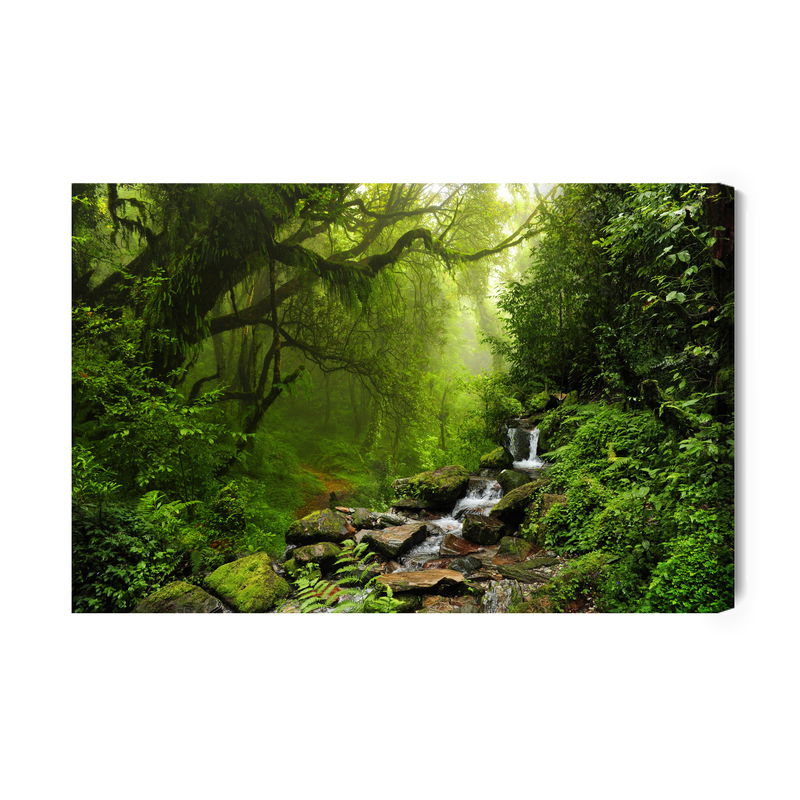 Ljuddämpande tavla - Subtropical forest in Nepal