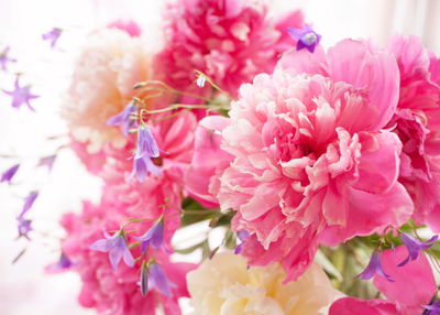 Ljuddämpande tavla - Pink peonies