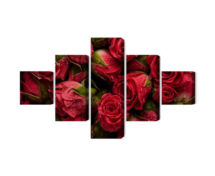 Ljuddämpande tavla - Roses with water drops