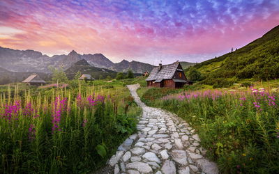 Ljuddämpande tavla - Hala gasienicowa