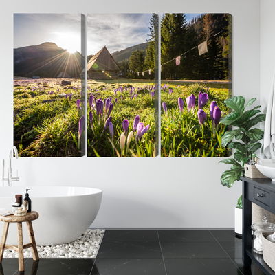 Ljuddämpande tavla - Chocholowska valley