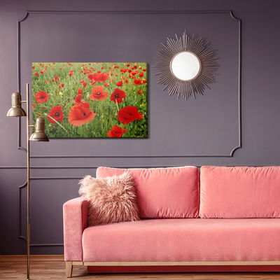 Ljuddämpande tavla - Red poppies in the meadow