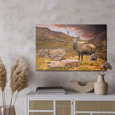 Ljuddämpande tavla - Deer in the mountains