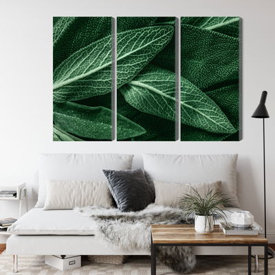 Ljuddämpande tavla - Salvia leaves on a macro