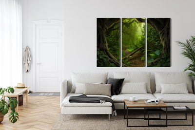 Ljuddämpande tavla - Path in a tropical forest