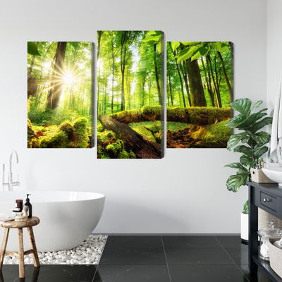 Ljuddämpande tavla - Rays of the sun in the 3d