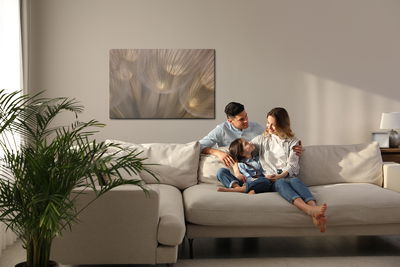 Ljuddämpande tavla - Dandelion seeds