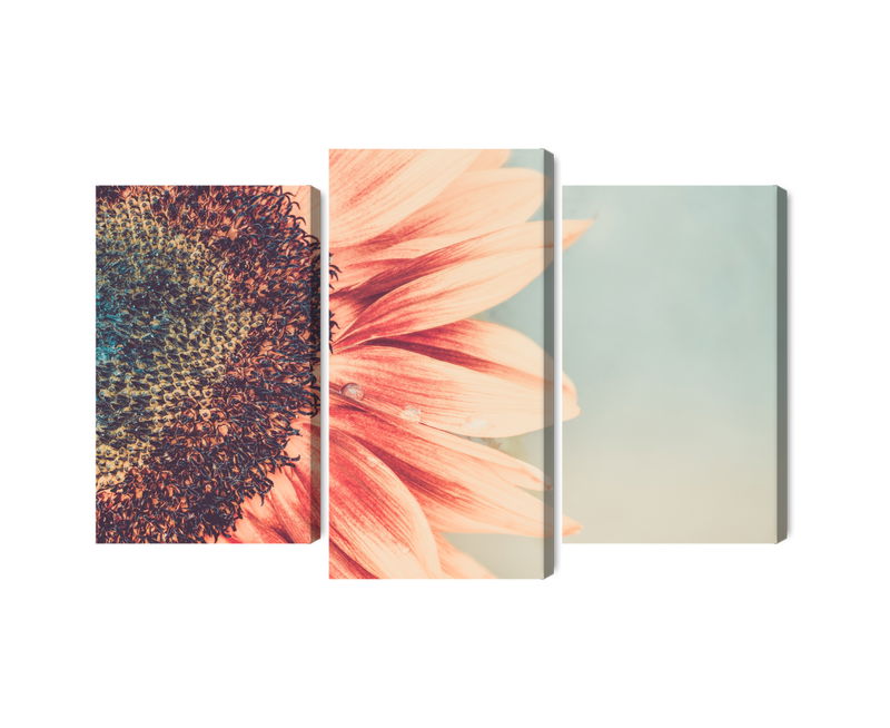 Ljuddämpande tavla - Blooming sunflower