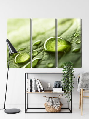 Ljuddämpande tavla - Water drops on a leaf