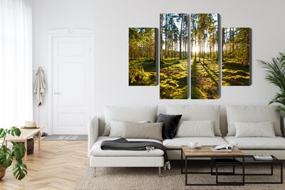 Ljuddämpande tavla - Forest landscape with sunset