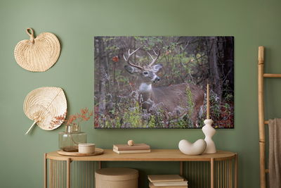 Ljuddämpande tavla - A deer among the forest