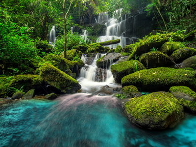 Ljuddämpande tavla - A beautiful waterfall