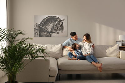 Ljuddämpande tavla - Sketched horse