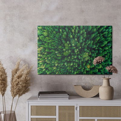 Ljuddämpande tavla - Trees in the carpathians