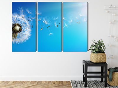 Ljuddämpande tavla - Dandelion with flying seeds