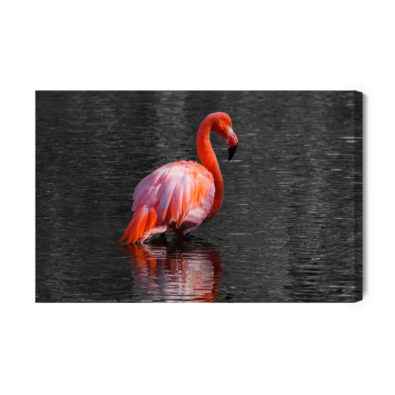 Ljuddämpande tavla - Flamingos in the water