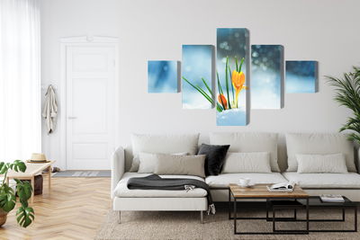 Ljuddämpande tavla - Yellow crocuses breaking