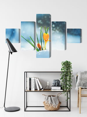 Ljuddämpande tavla - Yellow crocuses breaking