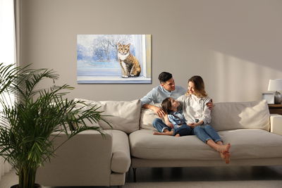 Ljuddämpande tavla - Cat on the background