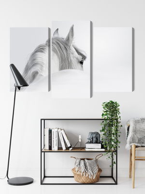 Ljuddämpande tavla - Andalusian horse in the fog