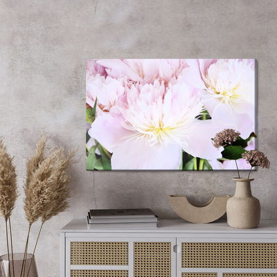 Ljuddämpande tavla - Peony rose in light pink