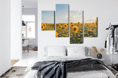 Ljuddämpande tavla - Sunflower field on a summer