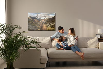 Ljuddämpande tavla - Deer on the background