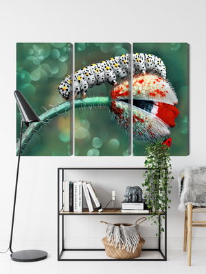 Ljuddämpande tavla - A caterpillar and a ladybug