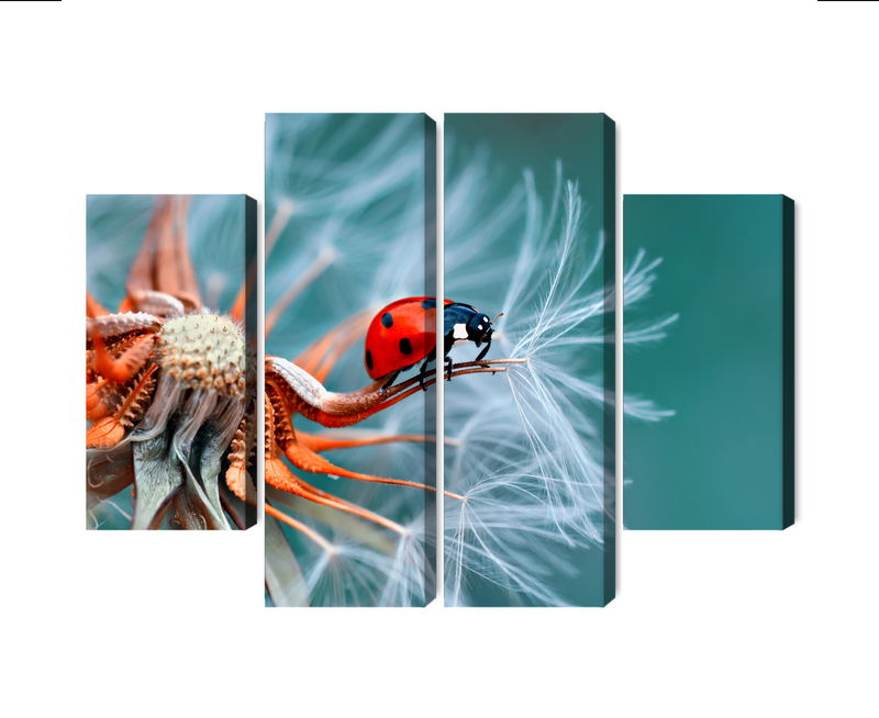 Ljuddämpande tavla - Ladybug on a dandelion