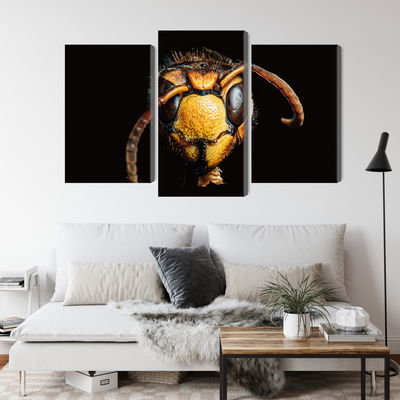 Ljuddämpande tavla - Hornet on a macro scale